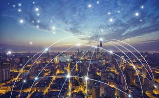 高中畢業(yè)學(xué)物聯(lián)網(wǎng)，信息技術(shù)咨詢(xún)服務(wù)中的新機(jī)遇