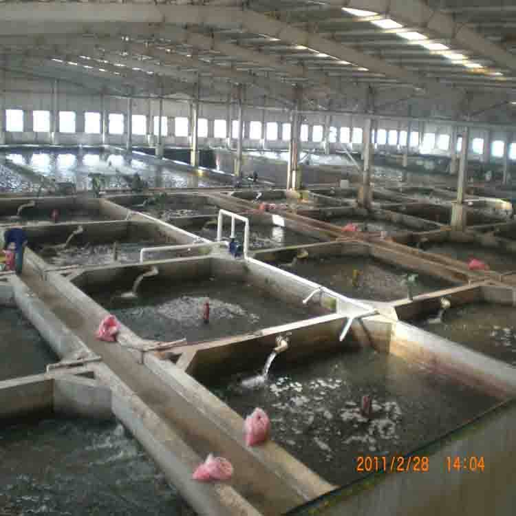 陽泉市循環(huán)水池堵縫施工 合作共贏