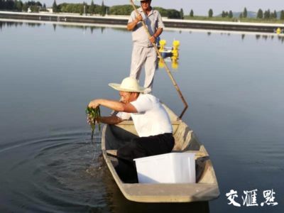 祖國 我想對(duì)你說