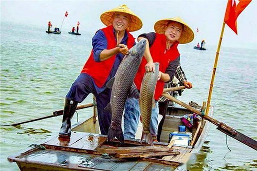 農業農村部辦公廳關于 實施水產綠色健康養殖技術推廣 五大行動 的通知