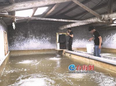 中俄(工業)創新大賽中國賽區選拔賽在廈舉行