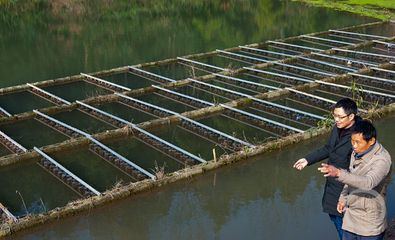 萬(wàn)州:治理尾水 促水產(chǎn)養(yǎng)殖業(yè)綠色高質(zhì)量發(fā)展