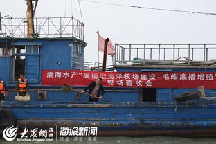 渤海水產 濱州 毛蚶苗種規?；虚g培育與底播增殖通過專家現場驗收