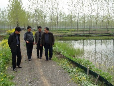 專(zhuān)家來(lái)武漢蝦龍水產(chǎn)養(yǎng)殖開(kāi)發(fā)開(kāi)展龍蝦養(yǎng)殖技術(shù)研發(fā)工作