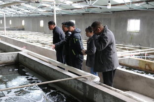 天津市水產產業技術體系創新團隊首席專家邢克智教授帶隊赴東麗區 濱海新區指導水產養殖工作