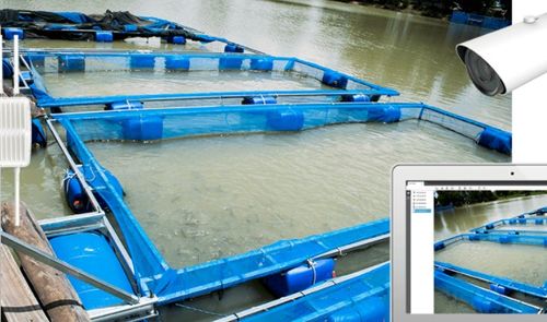 星縱智能lora解決方案在農(nóng)業(yè)中的不同應(yīng)用