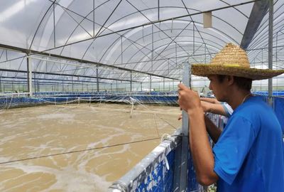 三名80后投資帆布工廠化養(yǎng)蝦,不換水、零排放,畝產(chǎn)3300斤!