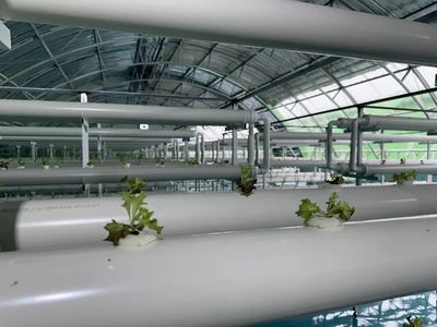 通遼市首家工廠化養(yǎng)魚項目落戶奈曼