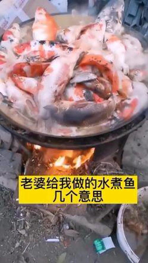 釣魚 魚 農(nóng)村 農(nóng)村生活 水產(chǎn)養(yǎng)殖技術 捕魚