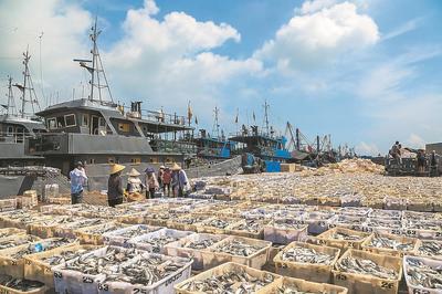 漳州:海島&ldquo;吃海&rdquo;記