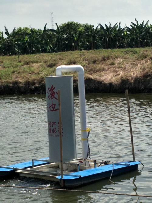 創(chuàng)洋池塘底部增氧機(jī) 科技讓水產(chǎn)養(yǎng)殖更省心