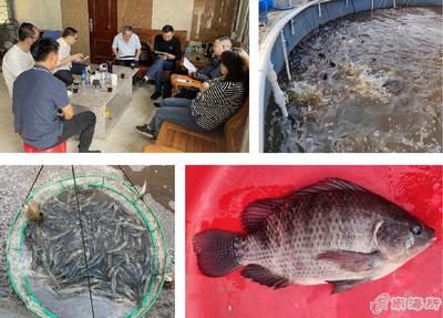 南海所&ldquo;高密度對蝦+海水羅非魚異位串聯(lián)的生物絮團(tuán)零換水養(yǎng)殖技術(shù)&rdquo;試驗(yàn)示范通過測產(chǎn)驗(yàn)收