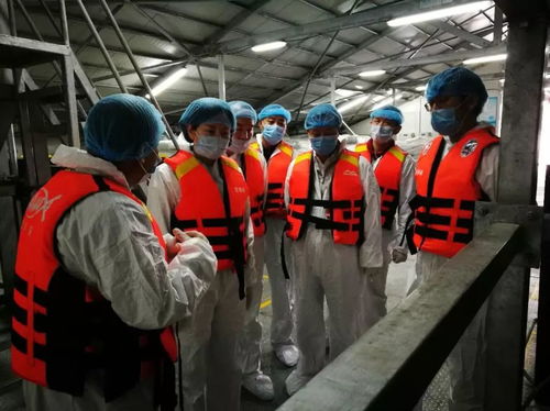 青海省冷水魚(yú)養(yǎng)殖質(zhì)量安全與技術(shù)發(fā)展調(diào)研紀(jì)實(shí)