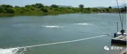 水產(chǎn)養(yǎng)殖水底溶氧作用與底層增氧技術(shù)研究