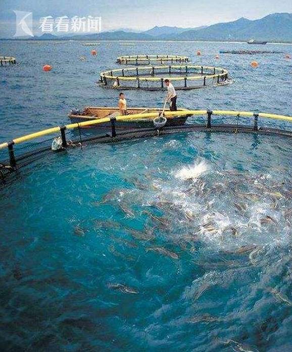 上海水產(chǎn)科學(xué)研究院研發(fā)深遠(yuǎn)海養(yǎng)殖工船與農(nóng)家樂(lè)休閑觀光服務(wù)的融合探索