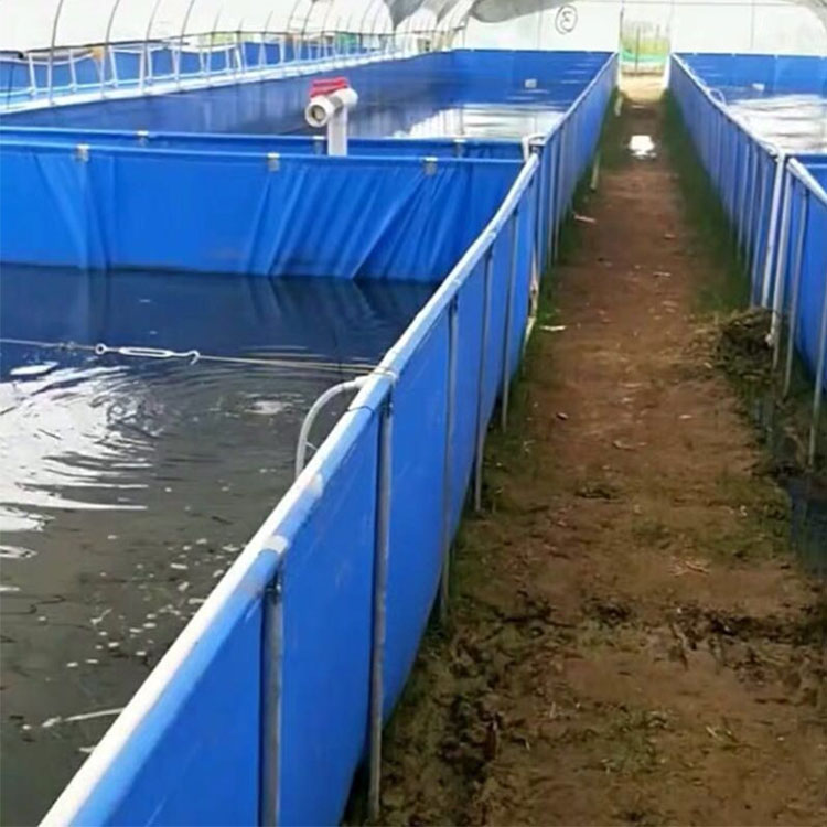 水產(chǎn)養(yǎng)殖帆布池 定制化解決方案助力高效養(yǎng)魚(yú)蝦與水蛭