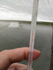 珠海農(nóng)發(fā)中心深入基層，科學(xué)開(kāi)展水產(chǎn)養(yǎng)殖防寒減災(zāi)工作