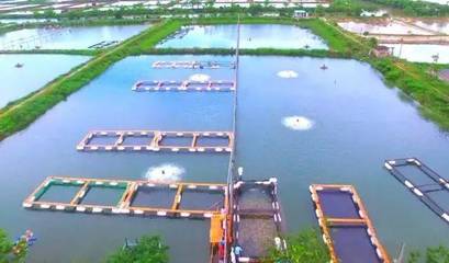 喜訊！斗門(mén)8家企業(yè)榮登省級(jí)水產(chǎn)養(yǎng)殖榜單，實(shí)力彰顯產(chǎn)業(yè)新高度