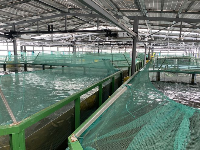 浙江首批“未來(lái)農(nóng)場(chǎng)”公布 十大休閑觀光新地標(biāo)，體驗(yàn)未來(lái)農(nóng)業(yè)新魅力