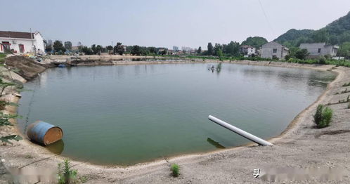 應(yīng)用新模式新技術(shù)，推動(dòng)水產(chǎn)養(yǎng)殖綠色轉(zhuǎn)型與可持續(xù)發(fā)展