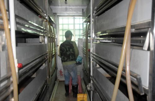 科技賦能生態(tài)養(yǎng)殖 茂名星火水產(chǎn)工廠(chǎng)化仿生態(tài)黃喉擬水龜養(yǎng)殖技術(shù)探索